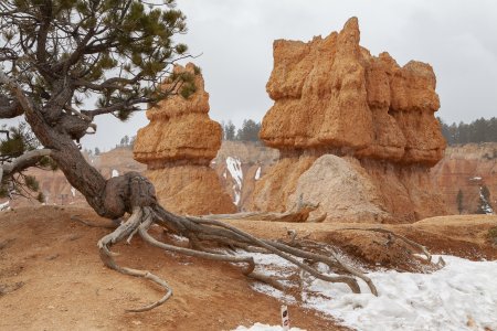 Bryce Canyon